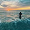 stellarey_