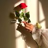 𝓐𝓣 ♡🕯️🌱| تبوك