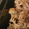 booes_zoohouse