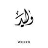 waleedkhalid028