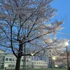 kemdaune0402