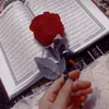 akrm.ahmaed