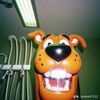 alfie_alfredo