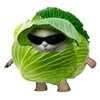 pipopipopipopii