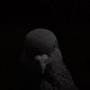 santi_85734