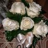 alex781305