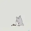 donarudo.s