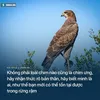 kinhkulu
