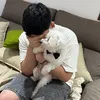 gonzaec_04