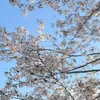 mymy041041
