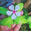 ali.mohamed0465