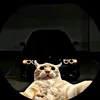viniciusmeira.imp