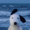 e_w_o4