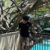 roxtraxt