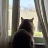kirina_06