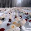 rtukg0280
