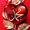 hoda_barwari3