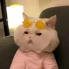 minhieennn