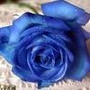 user9nracqagvf