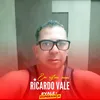 djvaltinhodjvaltinho