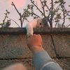 reema11033