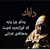 abulmalik15