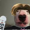 webbjosh