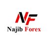 najibfx2