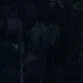 luaua0