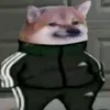 i_just_shit_the_bed