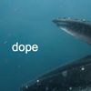 dopewhale_