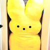 lordofthepeeps
