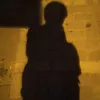 ng_twan.ahs101