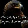 liaqathassani8
