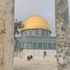 mohammedalatrash36