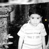 ianasashour