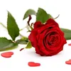 123emyeuanh274