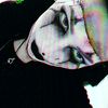 mua_shelly