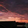 Ký ức ùa về 🙂‍↕️⭐