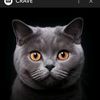 c715grey