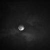 gena_7_