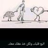 user72861450381050