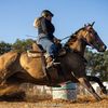 hansonhorses