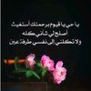 roro232811