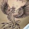 brunaa_ac1