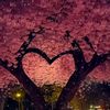 ayysha74