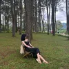 hapheo_