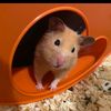 Winnie