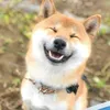 yuki_riku_810