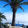 Montenegro_Life